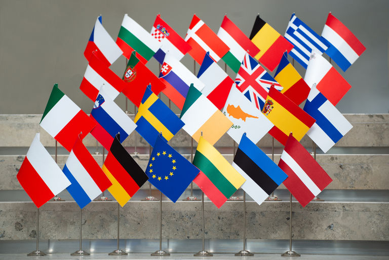 Seime bus minimos narystės Europos Sąjungoje 20-osios metinės