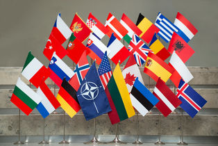 Seimo nariai dalyvaus NATO Parlamentinės Asamblėjos 67-ojoje metinėje sesijoje